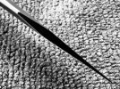 IMG_8795.jpeg