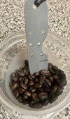 IMG_8491.jpeg