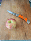 20230428_002456.gif