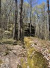 IMG_5284.jpeg