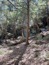IMG_5292.jpeg