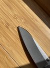 IMG_1530.jpeg