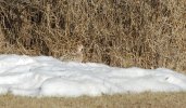 DSC_0004.JPG