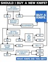 swwg8rp3bjh41.jpg