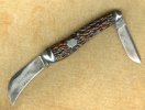 L F & C bone232.jpg