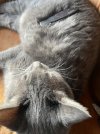 IMG_4753.jpeg