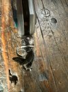 IMG_5782.jpeg