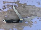 2 317 Trail Blazer serrated.jpeg