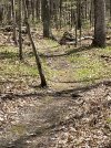 IMG_5327.jpeg