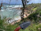 IMG_4003.jpeg
