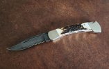 110 Serrated Damascus Elk_50%.jpg