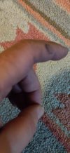 IMG_20230506_210157.jpg