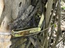 IMG_5799-compressed.jpeg