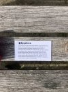 IMG_8136.jpeg