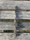 IMG_8145.jpeg