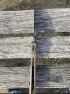 IMG_8144.jpeg