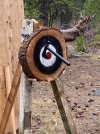 IMG_3254.jpeg