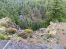 IMG_3253.jpeg