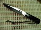 P5300005 (800x600).jpg