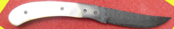 Darrel_Ralph_Designer_Damascus_Persian_14k_GL_MOP_back.jpg