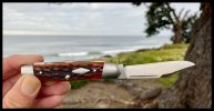 IMG_6716.jpeg