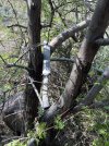 IMG_3622.jpeg