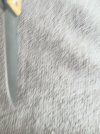 IMG_1171.jpeg