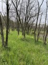 IMG_5359.jpeg