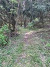 IMG_5362.jpeg