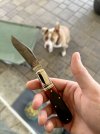 IMG_2726.jpeg