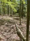 IMG_5363.jpeg