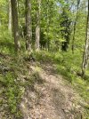 IMG_5364.jpeg