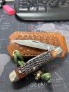 IMG_9632-compressed.jpeg