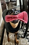 IMG_1367.jpeg