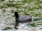 2023-05-12 Lake Atalanta (14).JPG