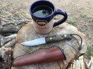 woodbear Fancy scales.JPG