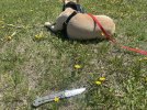 IMG_8962.jpeg