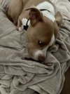IMG_2832.jpeg