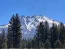 IMG_8364.jpeg