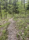 IMG_5381.jpeg IMG_5381.jpeg