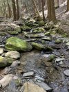 IMG_5394.jpeg