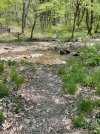 IMG_5401.jpeg
