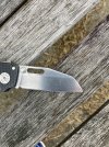 IMG_8187.jpeg