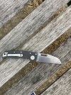 IMG_8186.jpeg