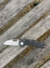 IMG_8185.jpeg