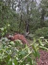 IMG_9644-compressed.jpeg