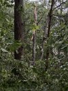 IMG_9647-compressed.jpeg