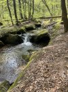 IMG_5415.jpeg