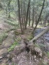 IMG_5422.jpeg
