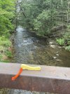 IMG_5428.jpeg